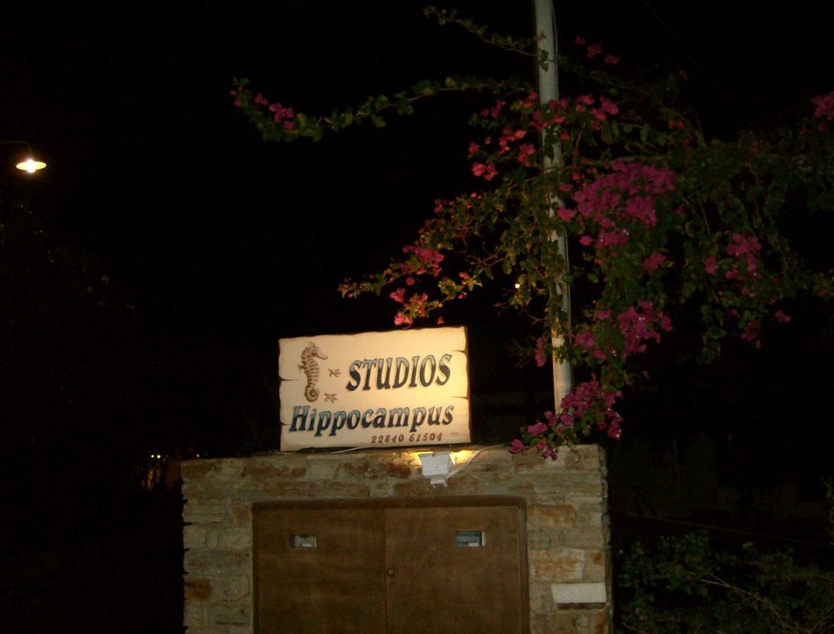 Hippocampus Studios Antiparos Ngoại thất bức ảnh